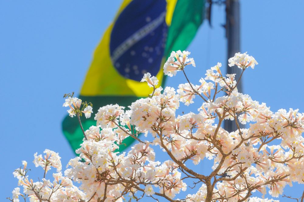 foto paulo h carvalho 2 1 1920x1275