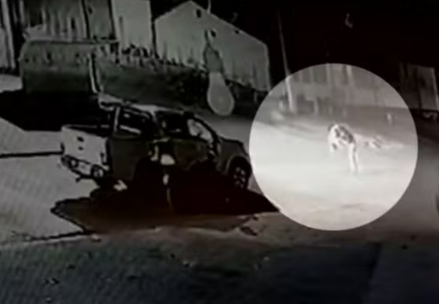 captura de tela 2024 08 20 063749