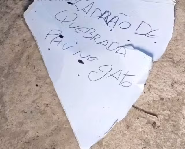 whatsapp image 2024 08 19 at 09.29.20