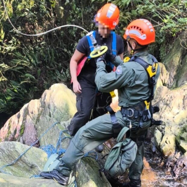 3b6dee8c 0245 4ecf 8744 162ee0440202