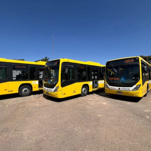 novos pioneira 1536x1152