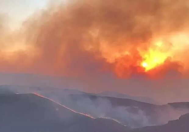 whatsapp image 2024 08 20 at 17.00.15