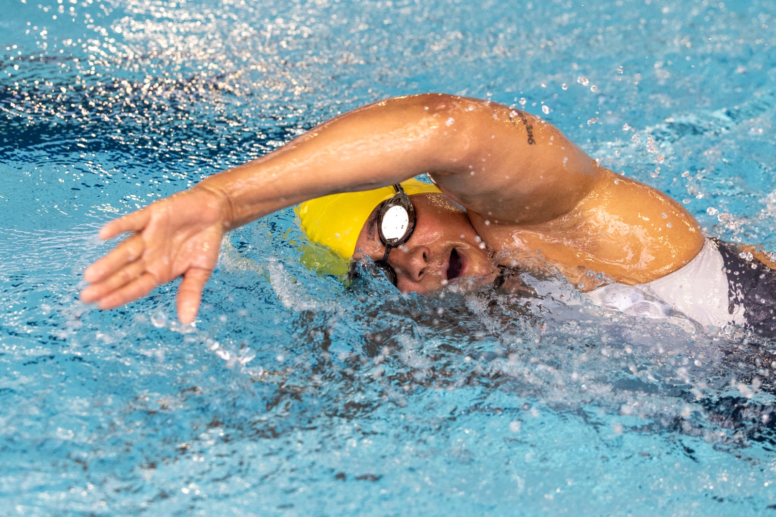 whatsapp image 2024 08 21 at 09.30.50 (1)