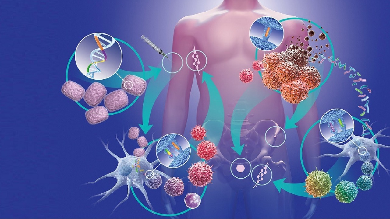 whatsapp image 2024 08 21 at 13.31.27