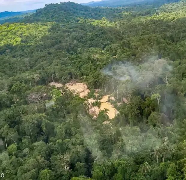 MPF move ação na Justiça Federal por demarcação de terra indígena