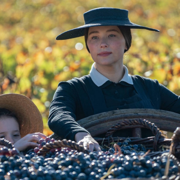 imagem 2024 08 21 190754167