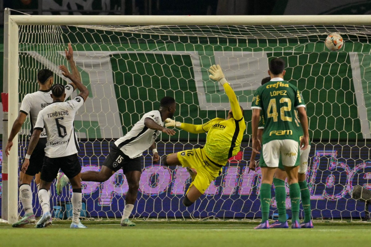 fbl libertadores palmeiras botafogo