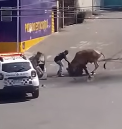 captura de tela 2024 08 22 104850