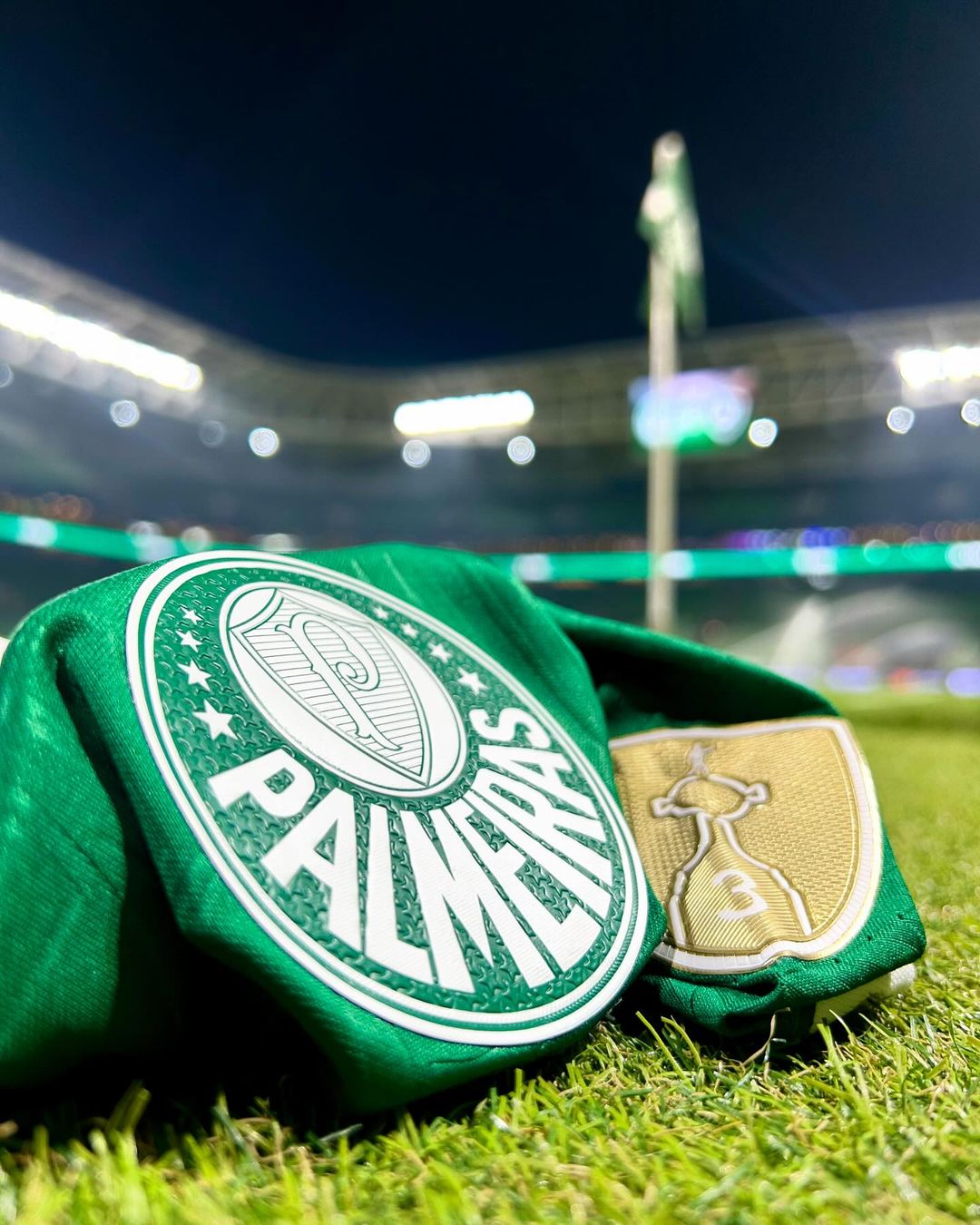 snapinsta.app 456599005 814662070869576 929208025069290877 n 1080