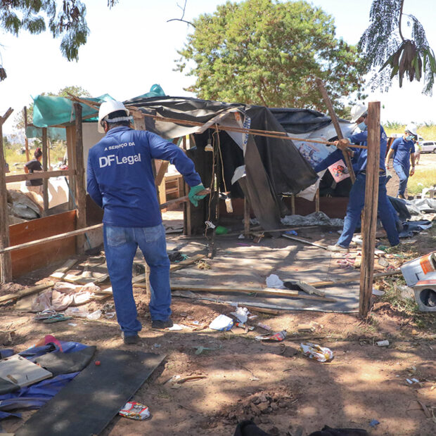 acolhimento arniqueiras