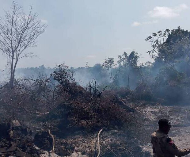 172445860466c9266ce1bd9 1724458604 3x2 md