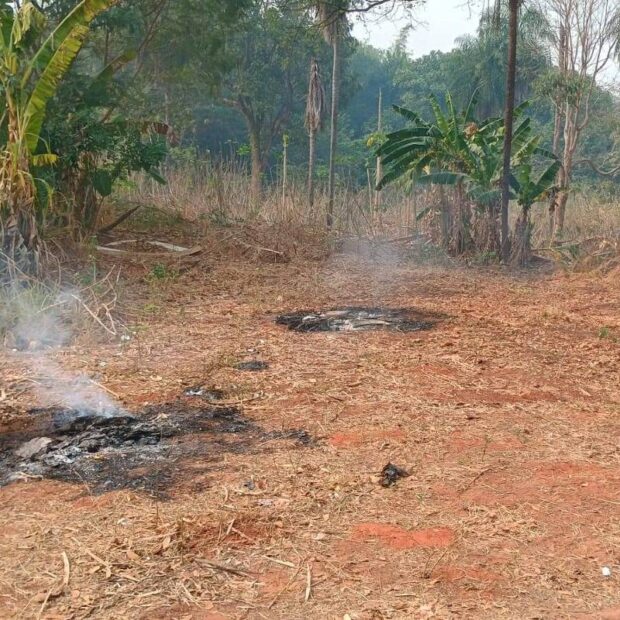 172452333866ca234a6c507 1724523338 3x2 xl