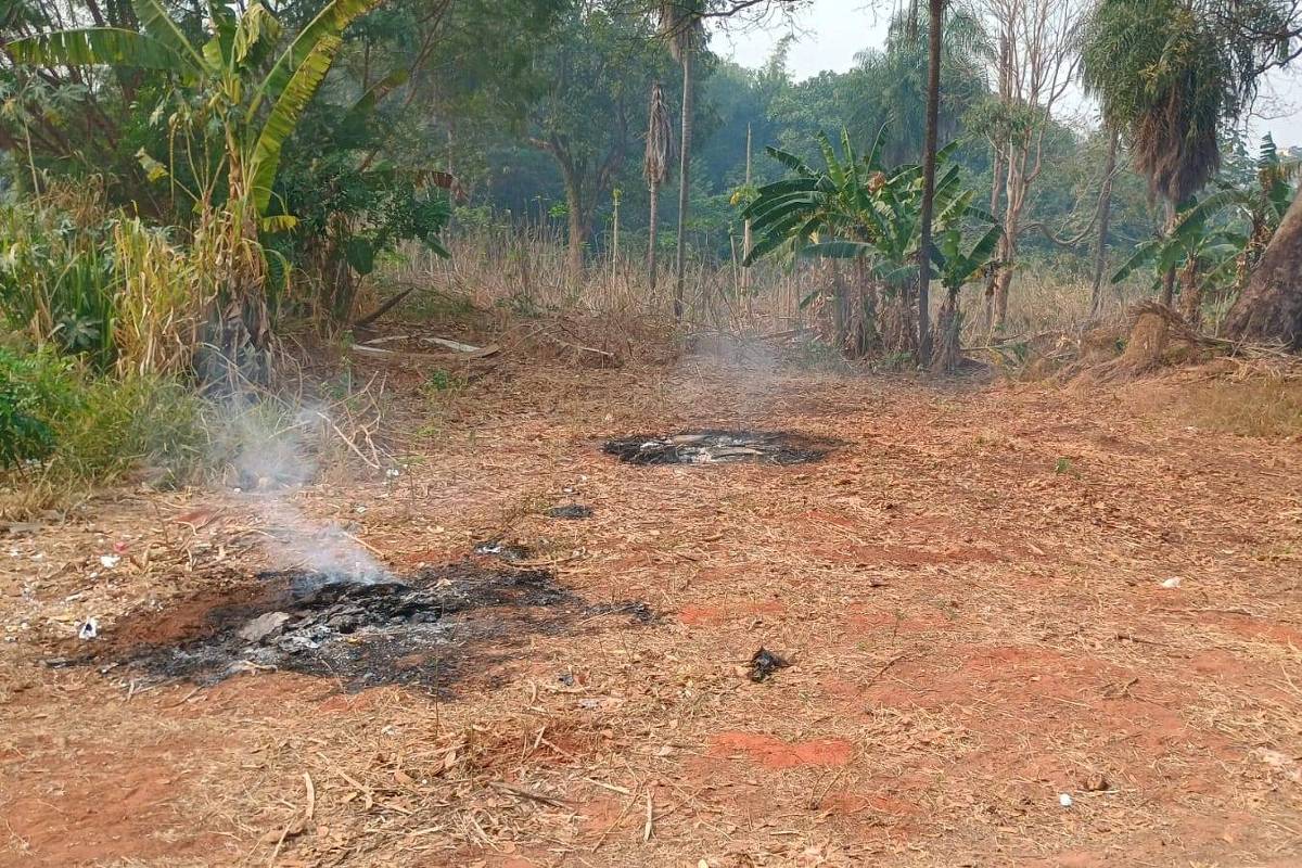 172452333866ca234a6c507 1724523338 3x2 xl