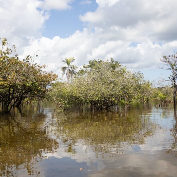 whatsapp image 2024 08 27 at 08.55.29