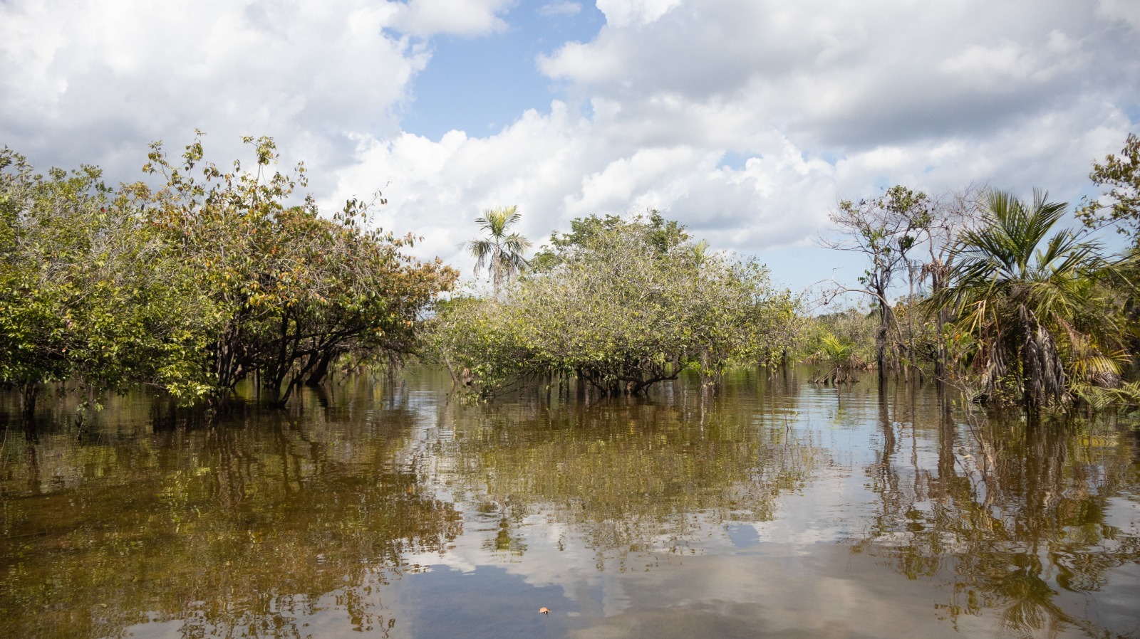 whatsapp image 2024 08 27 at 08.55.29