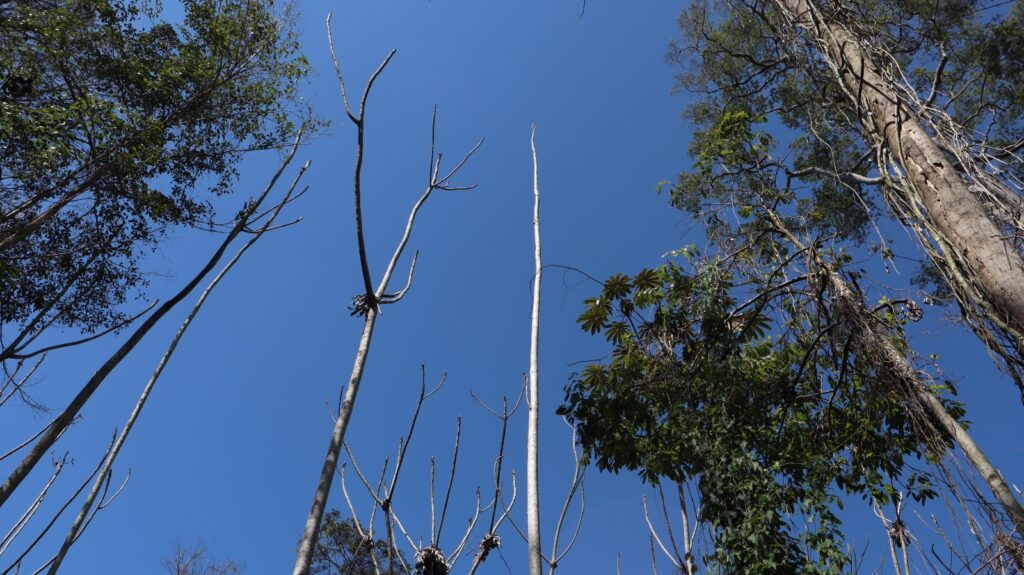 whatsapp image 2024 08 27 at 08.55.28 (1)