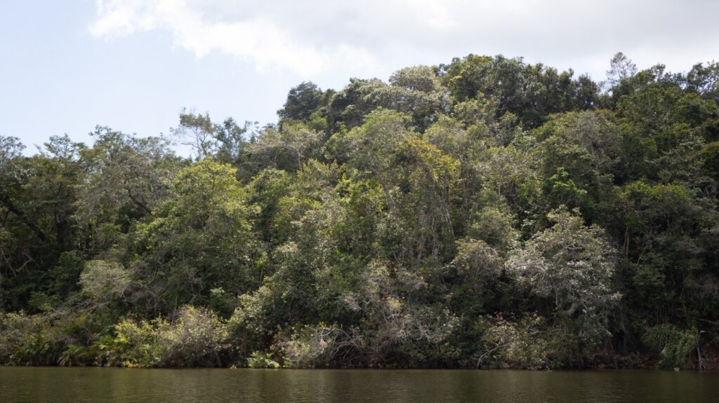 whatsapp image 2024 08 27 at 08.55.28