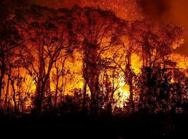 whatsapp image 2024 08 28 at 12.33.47 (1)