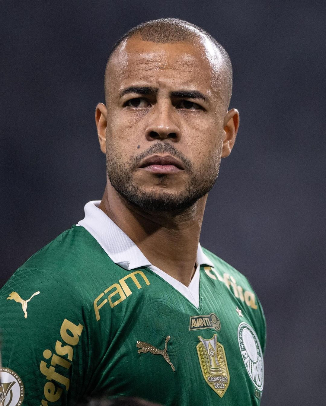 snapinsta.app 450767763 3713261745654997 7326953696756198707 n 1080