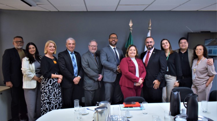 29.8. reuniao do cggov