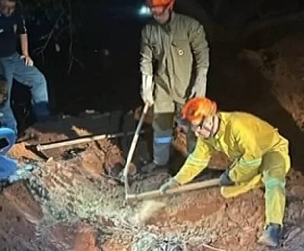 whatsapp image 2024 08 29 at 15.55.48