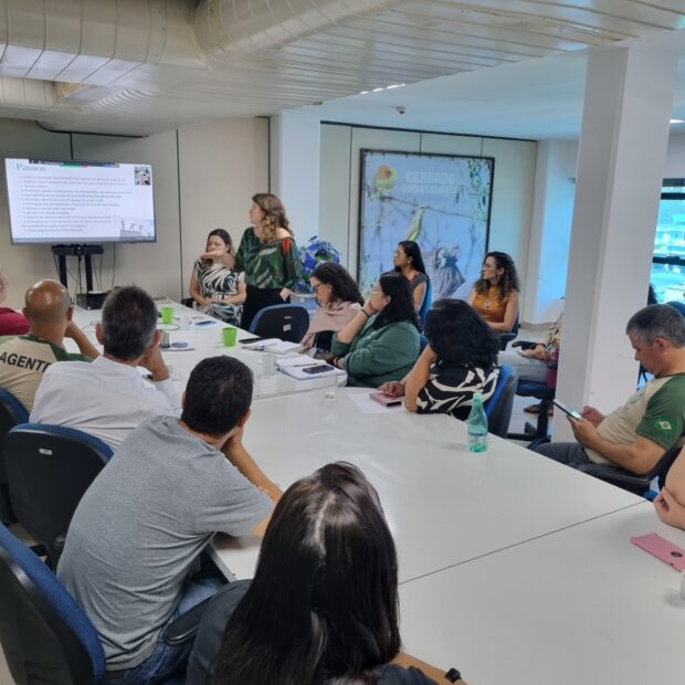 planejamento para a superintendência e suas metas