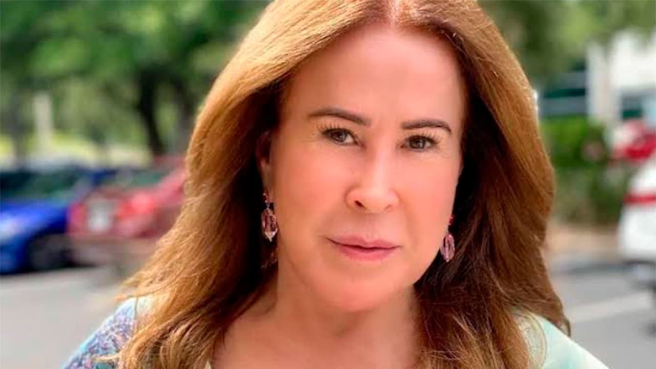 zilu candidata patrimonio 1 8703