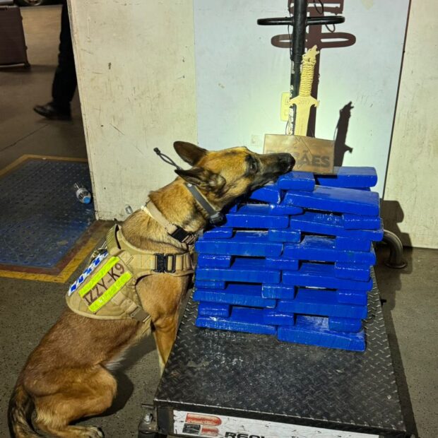 whatsapp image 2024 09 01 at 19.13.54