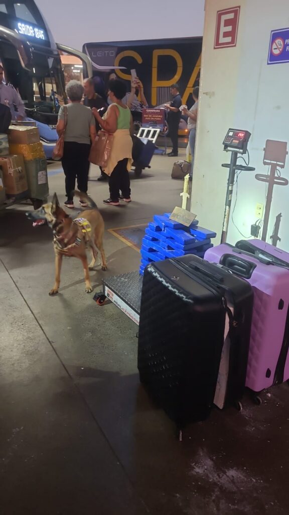 whatsapp image 2024 09 01 at 19.13.54 (1)