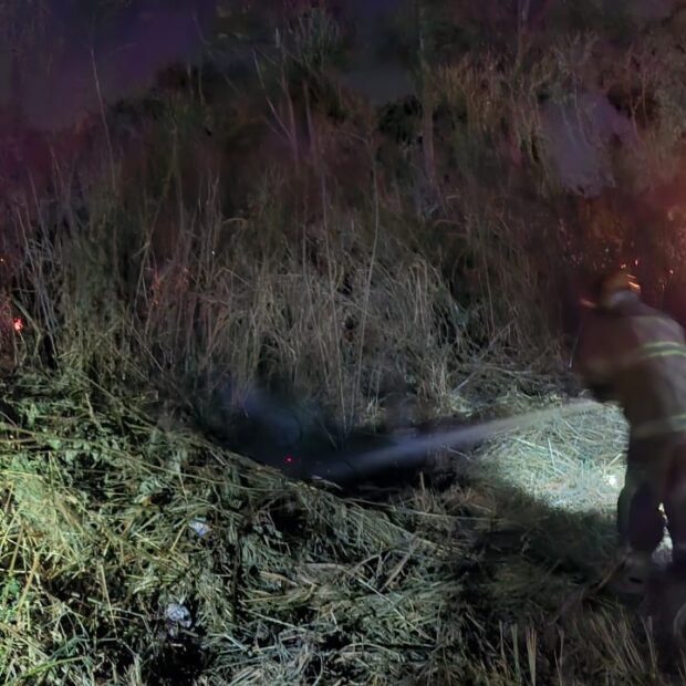 whatsapp image 2024 09 02 at 00.18.28