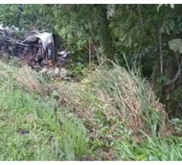 78c14f1c 3239 41d0 bc7e d16da04fac53