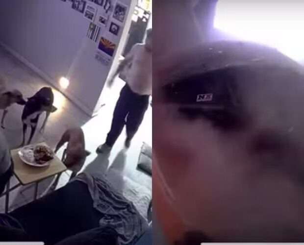 whatsapp image 2024 09 02 at 15.20.13