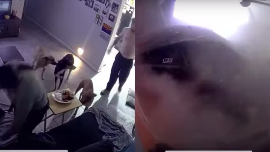 whatsapp image 2024 09 02 at 15.20.13