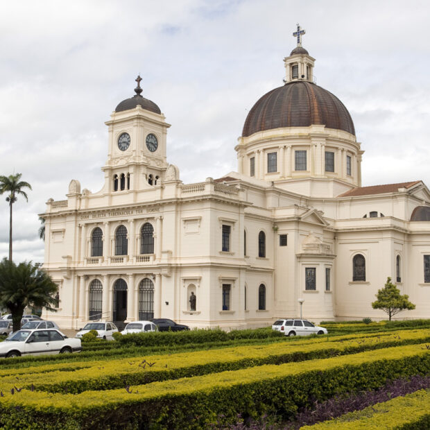 batataias