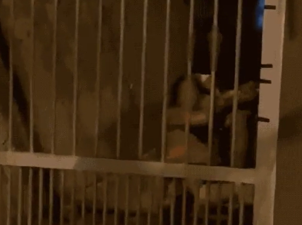 captura de tela 2024 09 04 113455