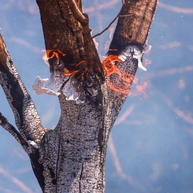 whatsapp image 2024 09 04 at 14.33.52 (1)