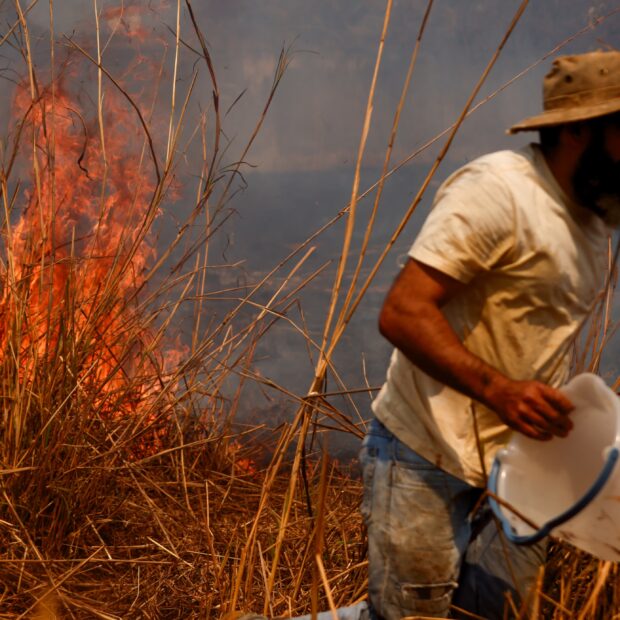 whatsapp image 2024 09 04 at 14.34.01