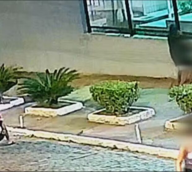 whatsapp image 2024 09 04 at 15.43.27