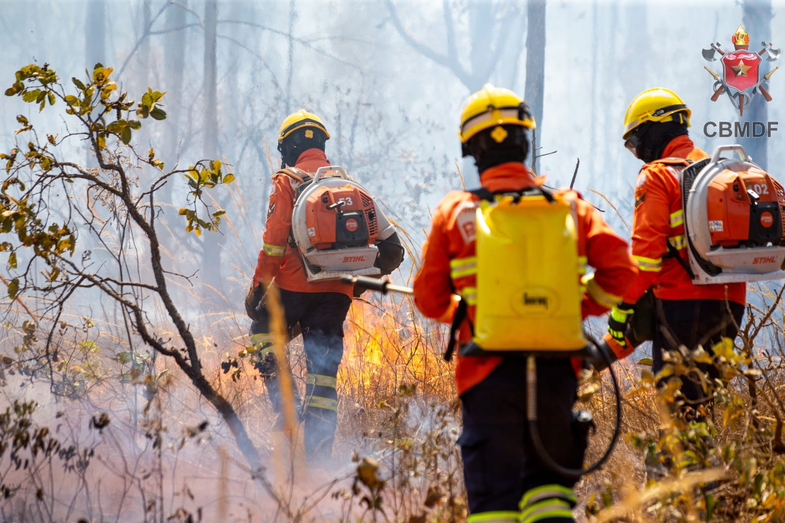 imagem do whatsapp de 2024 09 04 à(s) 19.13.09 900146c1