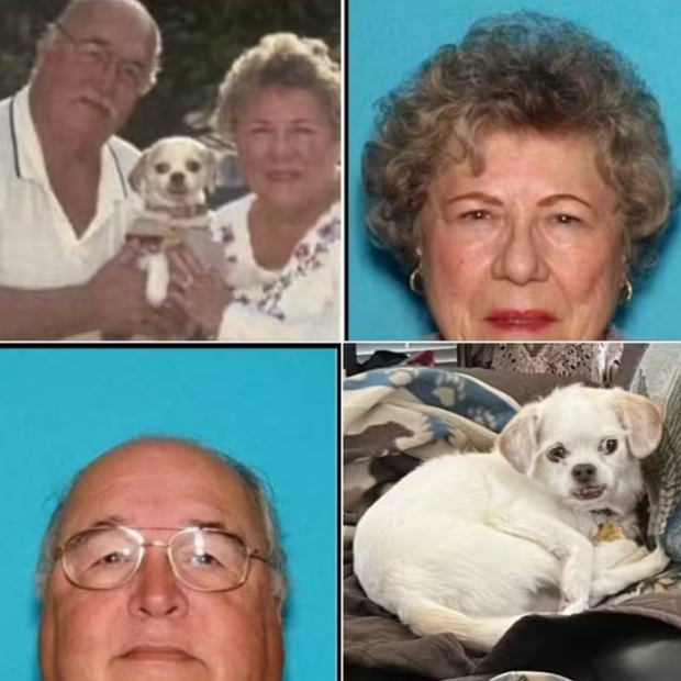 captura de tela 2024 09 05 110740