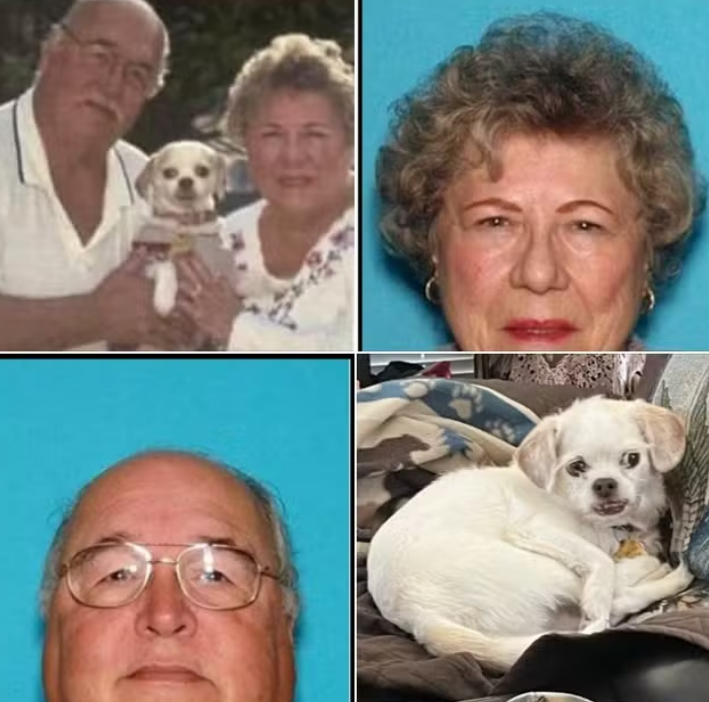 captura de tela 2024 09 05 110740