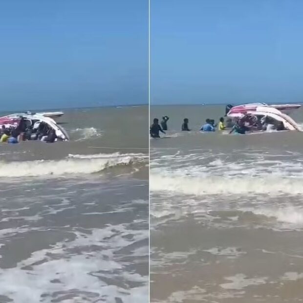 9f8cd9cb 0051 412d 8ac4 839b105d7382