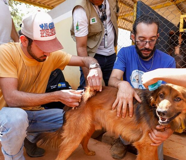 imagem do whatsapp de 2024 09 06 à(s) 21.20.34 39e872d8