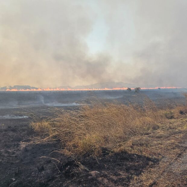 whatsapp image 2024 09 08 at 18.58.00