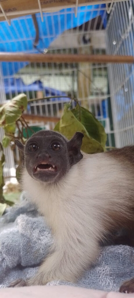 whatsapp image 2024 09 10 at 12.20.21