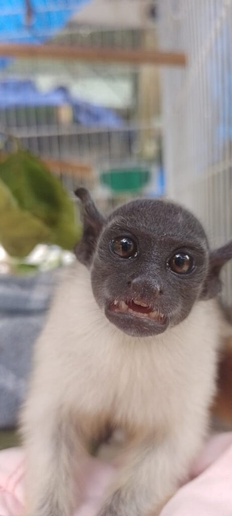 whatsapp image 2024 09 10 at 12.20.20 (1)