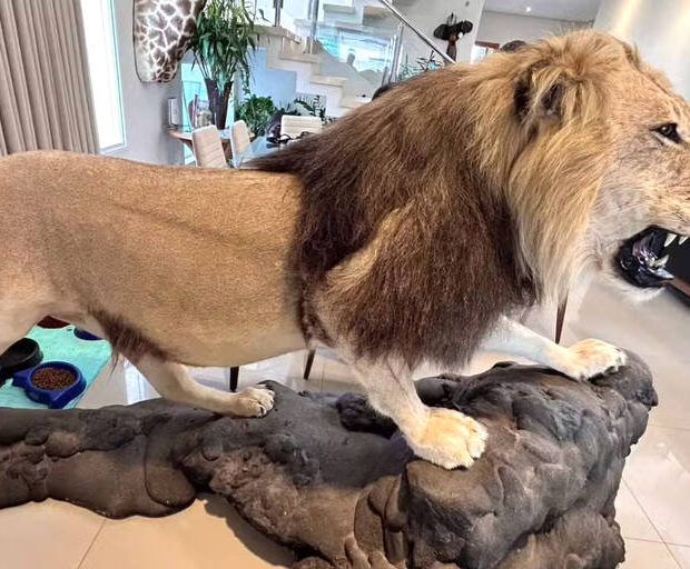 172600034566e0acd9ca400 1726000345 3x2 md