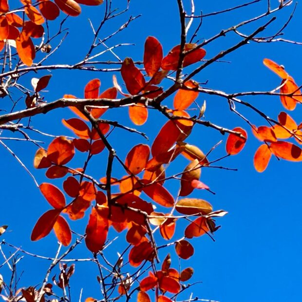 whatsapp image 2024 09 11 at 07.18.25 (1)