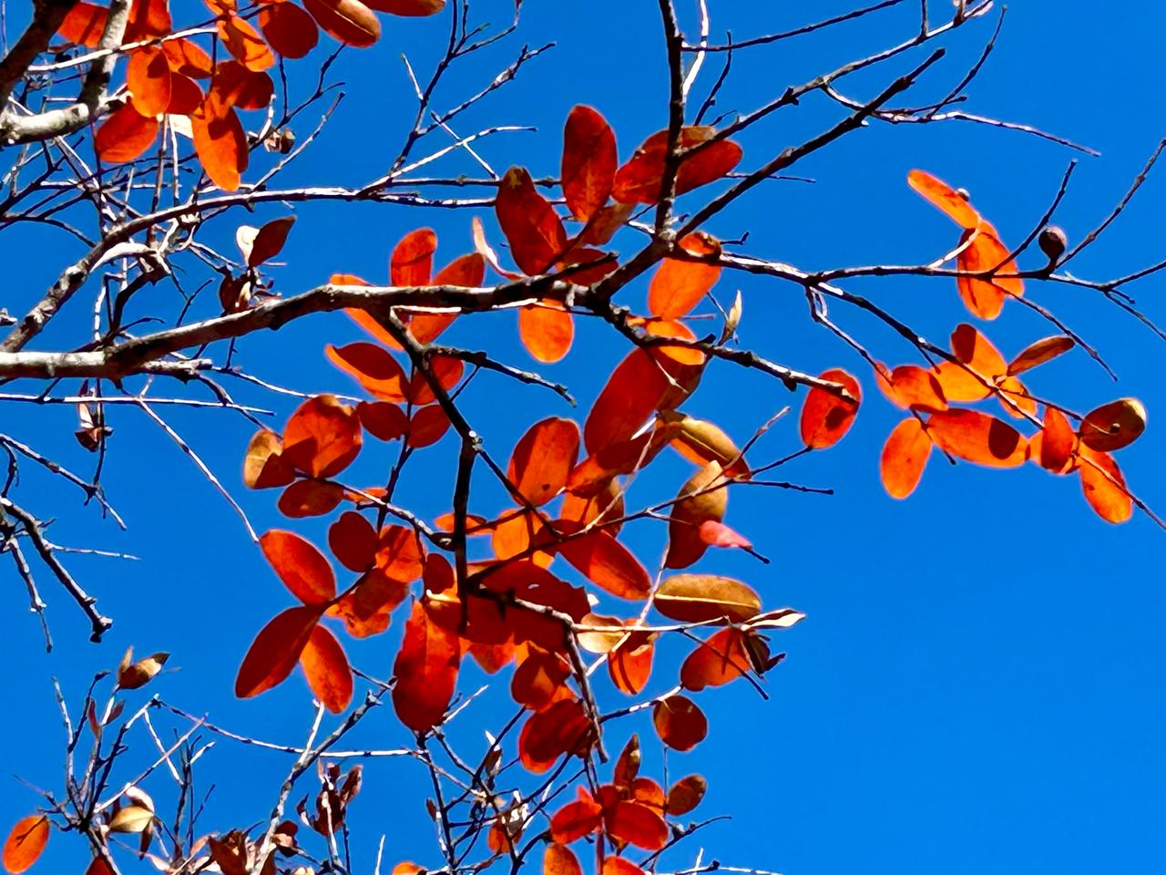 whatsapp image 2024 09 11 at 07.18.25 (1)