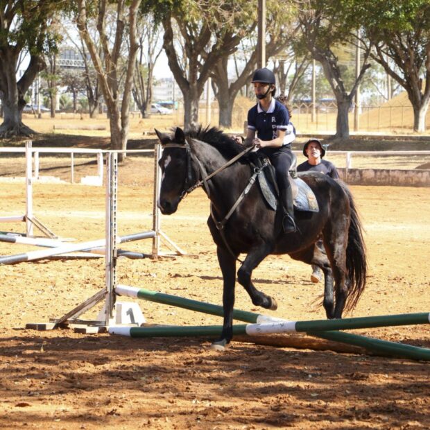 dentro 1 1 1 1536x1024